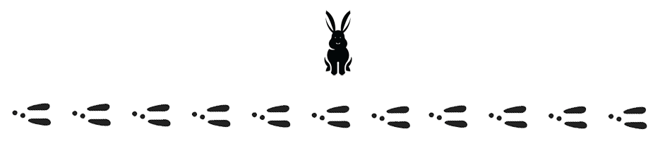 PROTON-2023.png